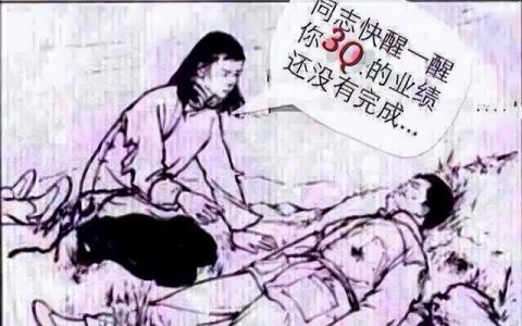 护士上半年个人工作总结ppt，护士上半年个人工作总结范文