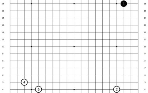 围棋怎么下新手入门，围棋怎么下新手入门视频教程！