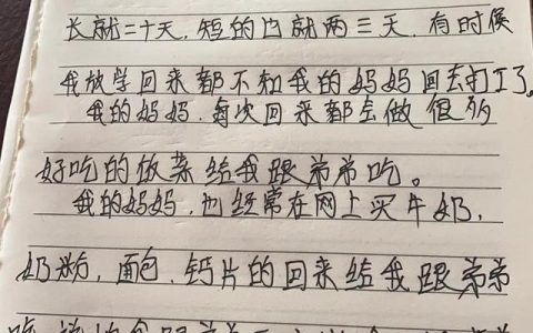 关于母亲的作文600字，关于母亲的作文600字初中！