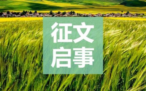 父爱的力量作文600字怎么写，父爱的力量作文700字