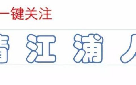 草作文600字，草作文600字托物言志