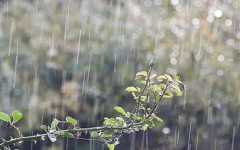 梅雨情结，梅雨时节小说