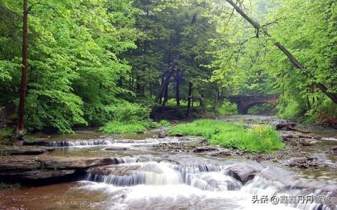 倾听鸟语阅读理解答案，倾听鸟语阅读理解答案四年级