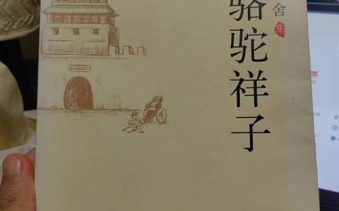 骆驼祥子经典片段摘抄，骆驼祥子经典片段摘抄200字