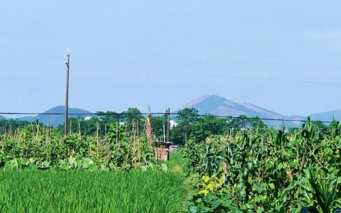 那年夏天你去了哪里，夏日追忆？